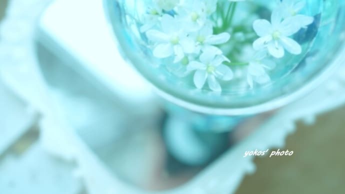 明日はお休み~ 💕