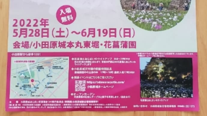 小田原城へ