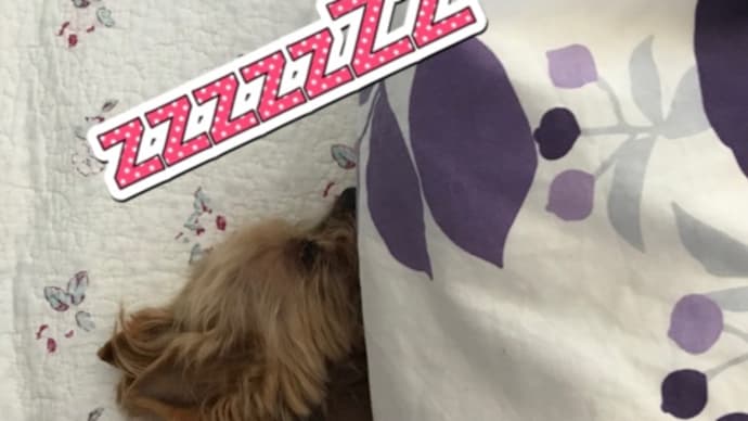 のんびり ゆっくり