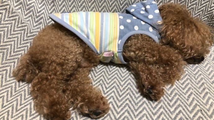 携帯置いてきた〜