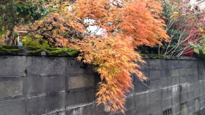 心のやすらぎを生きる糧として