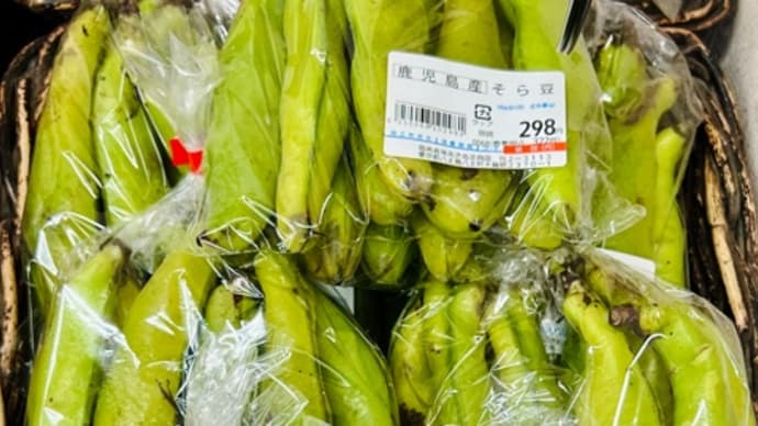 【持ち寄り】餃子の皮キッシュ・イカのアクアパッツァ