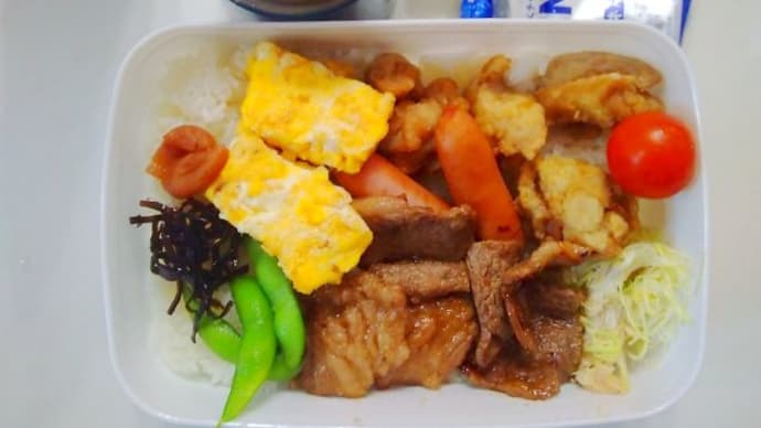 長男お弁当(お弁当初め)1/8