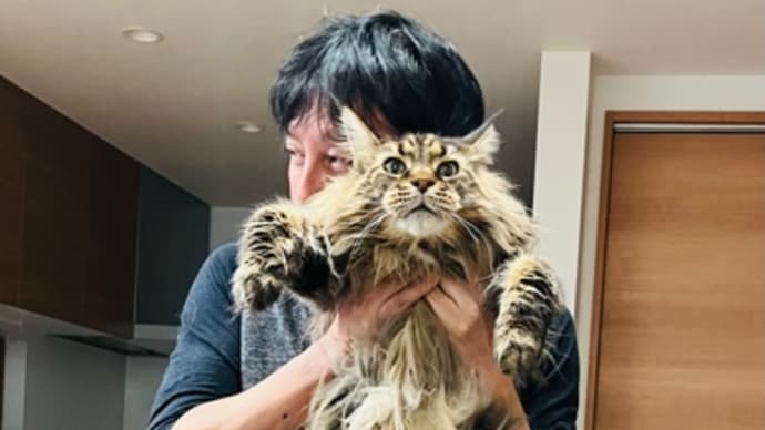 「かくれんぼ」