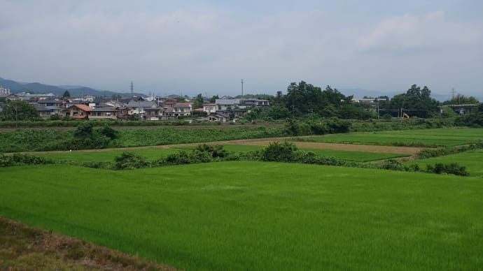 きょうの安達太良(灯台もと暗し・・・)