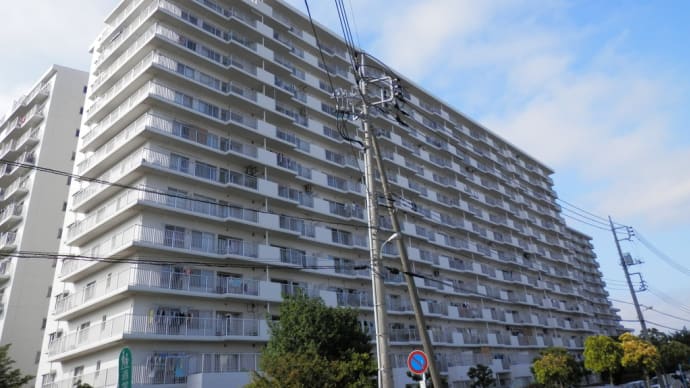 パークフィールドみさと5街区2号館8階【リノベーションマンション】