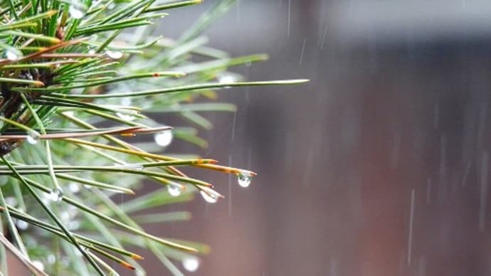 雨で・・・