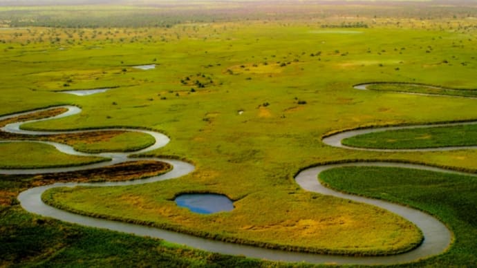 オカバンゴ湿地帯Okavango Delta