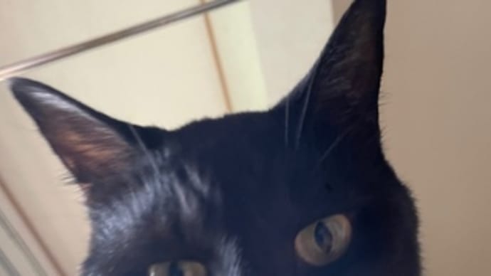 ダラダラ…だらだら…