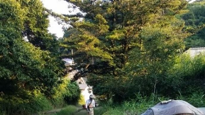 作業は16時を過ぎてから