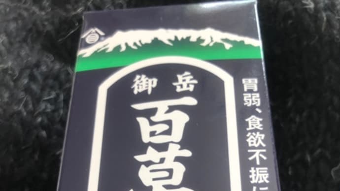 日記 健康