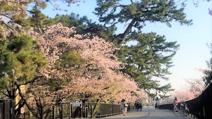 葉桜五分、希望に満ちた笑い声がひびく