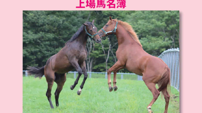 【2023 JRAブリーズアップセール(JRA Breeze Up Sale)】が開催(結果概要,4/26最終結果更新)