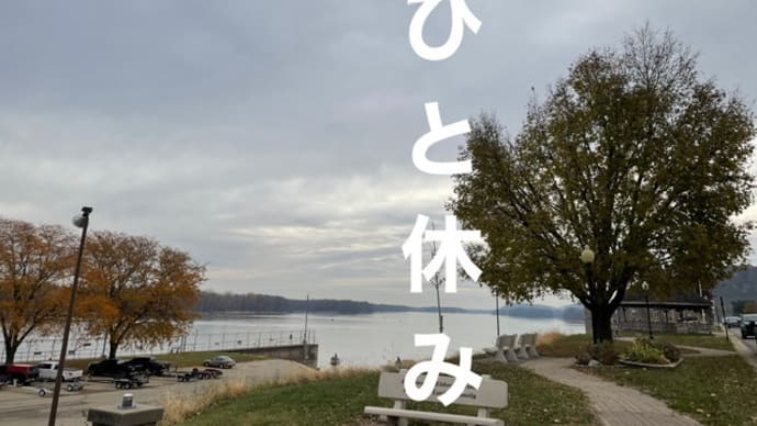 航空券とりました