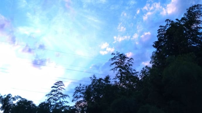 夕方のお散歩で出会った光景♪