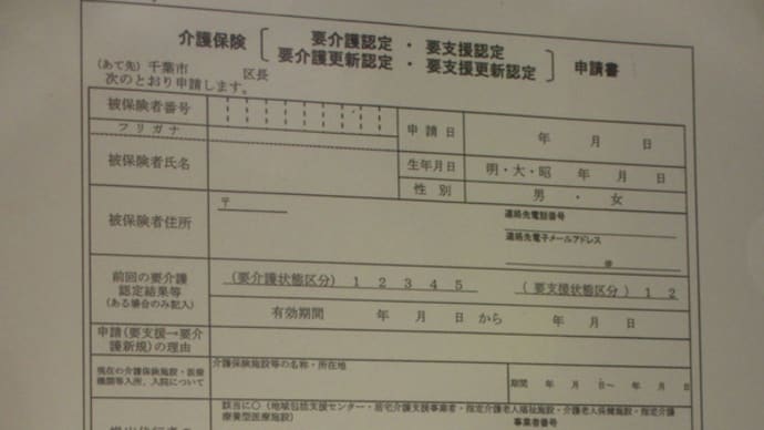 93歳で初の介護認定を決意