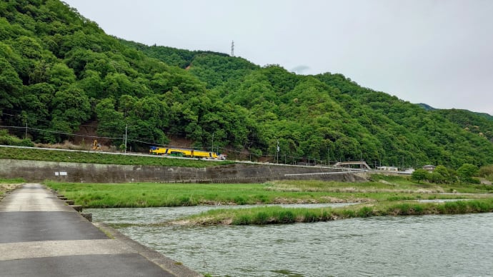 初ドクター(イエローではないが)、保線車両見ました!