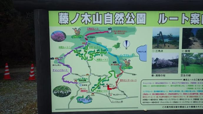 藤ノ木山自然公園(姫路市)