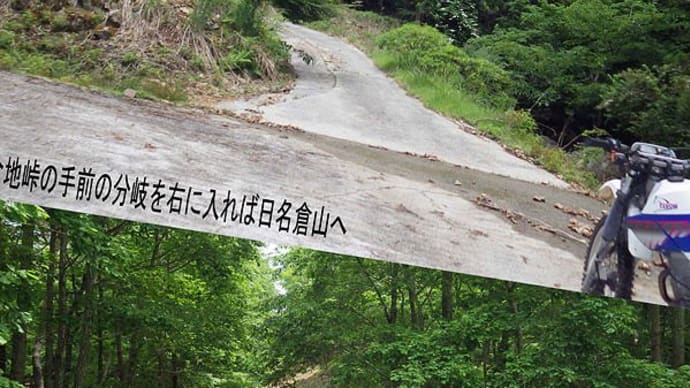 日名倉山付近の林道