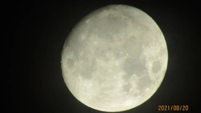 8月20日(金)