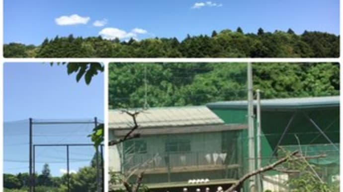 社会人になって再開⤴