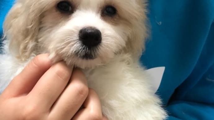 可愛い可愛い❤️お子様達