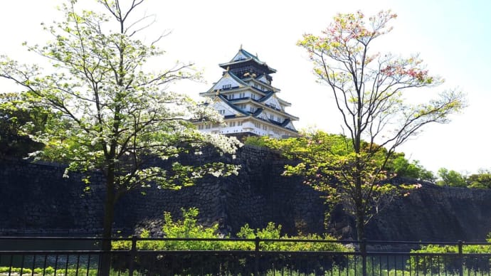 大阪城公園に映える花水木・・・