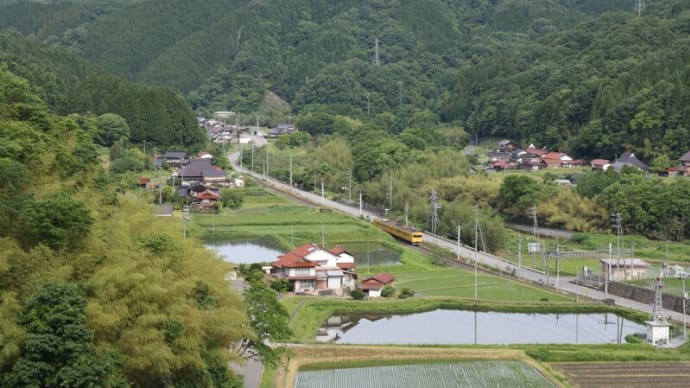 約７ヶ月ぶりに
