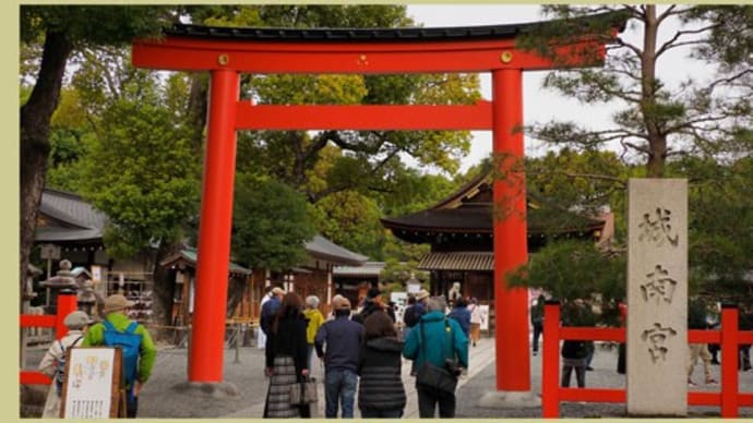 京都・城南宮の艶やかな枝垂れ梅①
