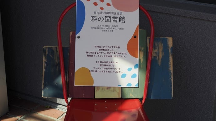 森林公園を楽しむNo40 森の図書館とパンケーキ