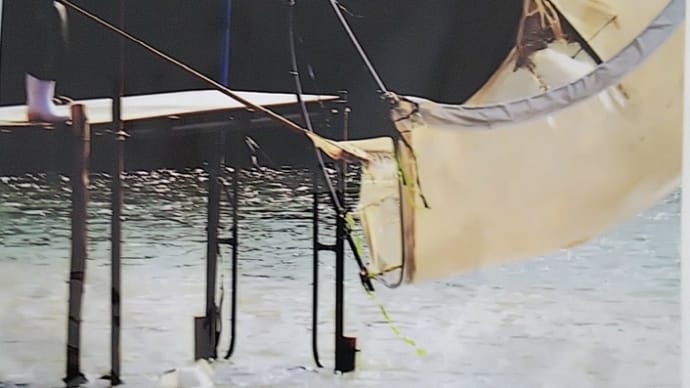 お父さん、お元気ですか?