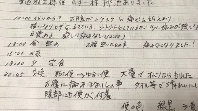 介護記録