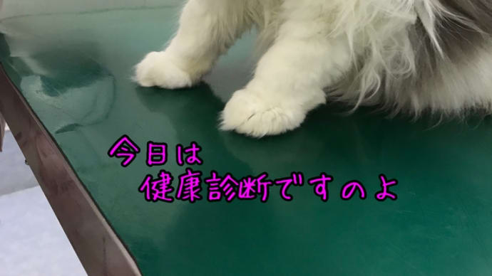 健康診断とお口と