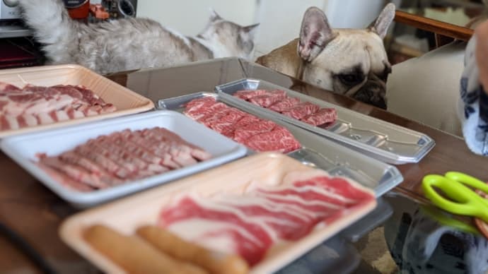 先週からのお弁当と作ったものシリーズと猫の日