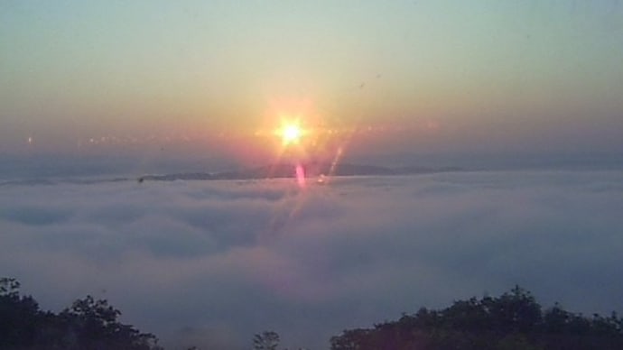 綺麗な霧の海になった