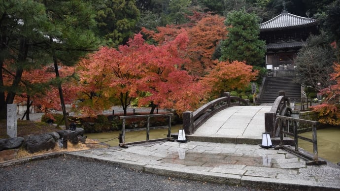 もみじ狩り　京都編２日目　京都市東山区林下町　浄土宗総本山：知恩院【1】-2　納骨堂周りのもみじ
