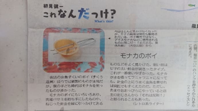最近は見ないネ ( ☌ω☌)