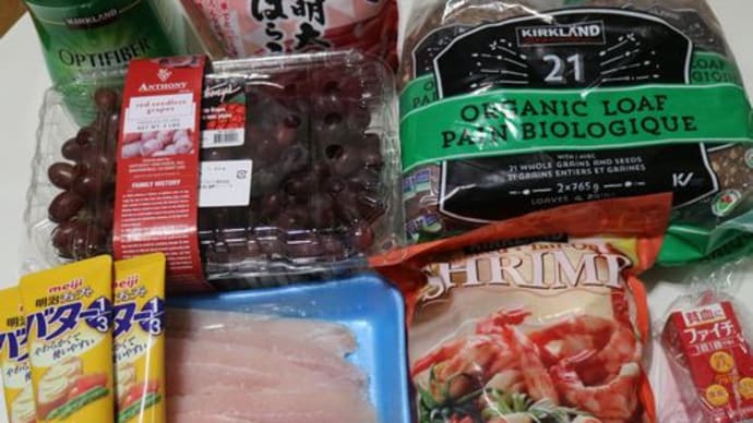 オプティファイバーとファイチ~コストコ