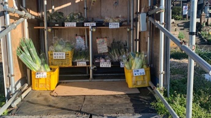無人野菜売り場のおかげで料理を楽しむ日々