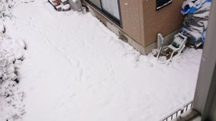 初雪