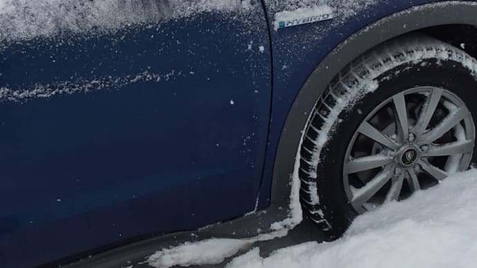 一気に雪化粧