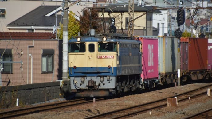 EF65-2066 大型コンテナ牽引(4072レ)【尻手駅:南武支線】2023.12.1