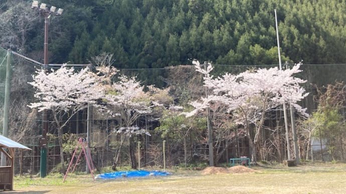 KYOTO WOOD EXHIBITION 2024 報告1