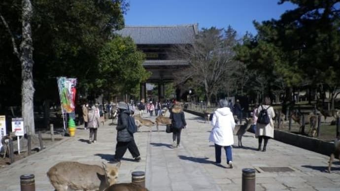 【東大寺】娘と奈良1泊⑥2023/2/27