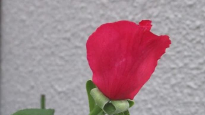 一難去って