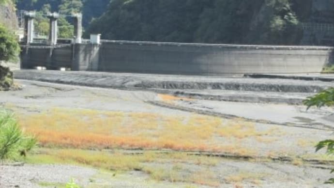 山梨県でダムめぐり2023秋(③土砂に埋もれたダム)