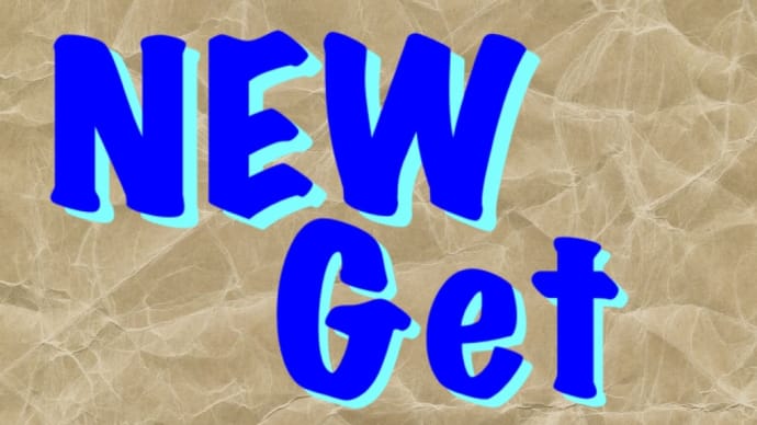 ∑(°口°๑)‼ 新しいアイテムGet!⑪