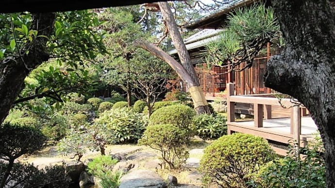 葛飾柴又、山本亭の日本庭園散策