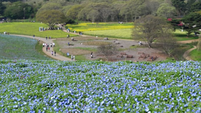 ひたち海浜公園