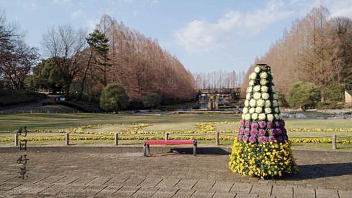 今年もよく行きました